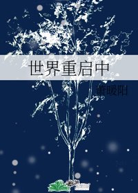 《(BG/綜漫同人)世界重啟中》
